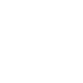 icon-lady-style-rounded