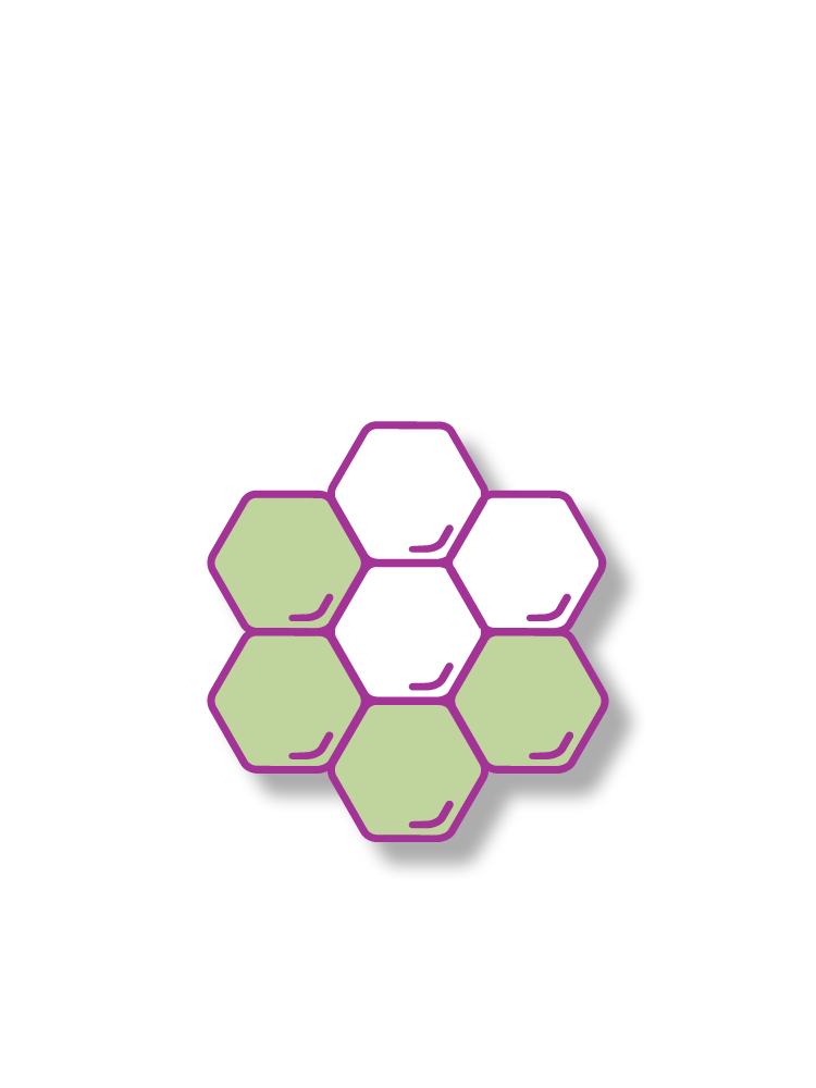 Category Image