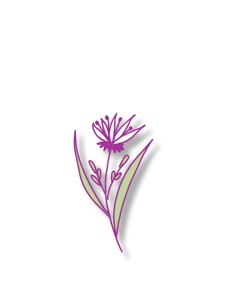 Category Image
