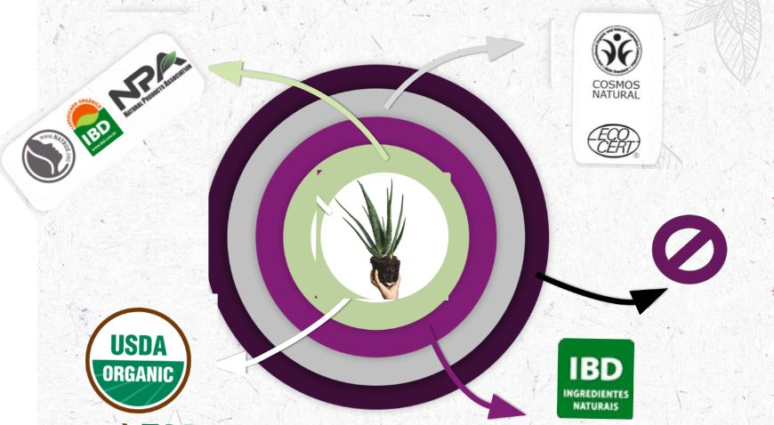 Qual a diferença entre as Certificadoras?